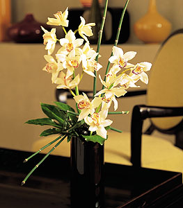  Burdur iekiler  cam yada mika vazo ierisinde dal orkide