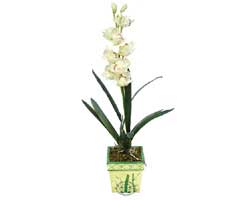 zel Yapay Orkide Beyaz   Burdur online ieki , iek siparii 