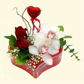  Burdur hediye sevgilime hediye iek  1 kandil orkide 5 adet kirmizi gl mika kalp