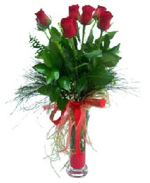 vazo içerisinde 5 kırmızı gül  Burdur güvenli kaliteli hızlı çiçek 