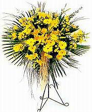  Burdur yurtiçi ve yurtdışı çiçek siparişi  Sari kazablanka Ferforje