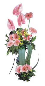  Burdur güvenli kaliteli hızlı çiçek  Pembe Antoryum Harikalar Rüyasi