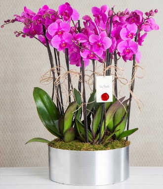 11 dall mor orkide metal vazoda  Burdur iek gnderme sitemiz gvenlidir 