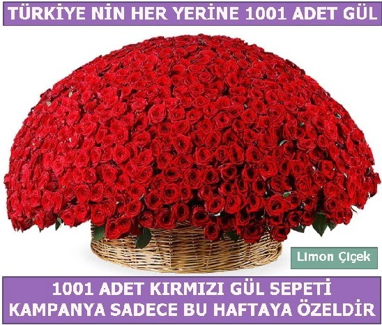 1001 Adet kırmızı gül Bu haftaya özel  Burdur İnternetten çiçek siparişi 
