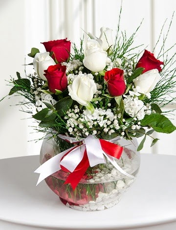 Aşk Küresi  5 beyaz 5 kırmızı gül fanusta  Burdur internetten çiçek satışı 