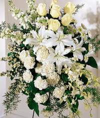  Burdur online çiçek gönderme sipariş  Kazablanka gül ve karanfil ferforje