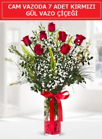Cam vazoda 7 adet kırmızı gül çiçeği  Burdur çiçek gönderme sitemiz güvenlidir 