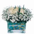 mika ve beyaz gül renkli taslar   Burdur çiçek satışı 
