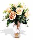  Burdur çiçek siparişi sitesi  6 adet sari gül ve cam vazo