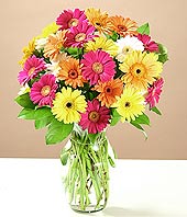  Burdur çiçek online çiçek siparişi  17 adet karisik gerbera