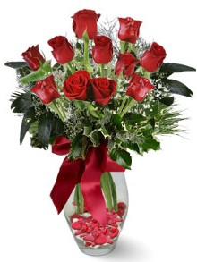 9 adet gül  Burdur internetten çiçek satışı  kirmizi gül