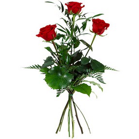  Burdur uluslararası çiçek gönderme  3 adet kırmızı gülden buket