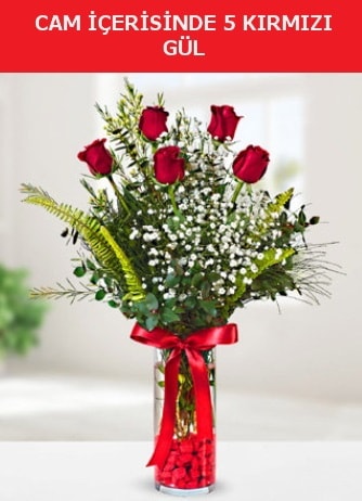 Cam içerisinde 5 adet kırmızı gül  Burdur çiçek siparişi sitesi 